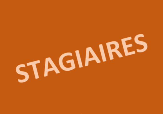 stagiaire photo